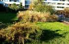 Apartament superb, 3 camere, MOBILAT si utilat - 5