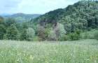 Teren intravilan de vanzare in Telega - 7
