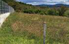 Teren Intravilan 2900mp Criseni - Pret 102.000eur neg - 4
