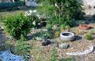 : Casă de țară gata de mutat, de vânzare în Preselenți, comuna General Toshevo 9 - 5