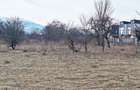 Teren intravilan pentru Investitie!!!,933mp in Ghimbav, 50 euro/mp neg - 4
