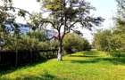 Casa 3 camere, teren 3625 mp, toate utilitatile, Sacele, Brasov - 7