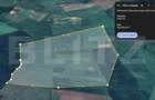 Oportunitate: 50 Ha de Teren Ideal pentru Agricultură sau Parc Fotovoltaic - 2