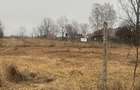 De vânzare: livadă de nuci pe teren intravilan. - 8