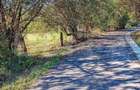 Teren INTRAVILAN cu posibilitate de parcelare ZONA DEOSEBITĂ - 3