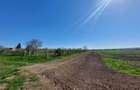 Teren pentru dezvoltare rezidentiala langa padure, in Pischia - 4