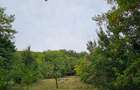 Teren 1000 mp cu tiny house, priveliste spre rau si padure- la 1h30 de Bucuresti - 9
