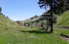 Teren si casa de vanzare in Moieciu de Sus, Brașov – teren 4.890 mp - 2