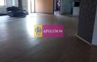 Vila zona Fundeni-Dobroiesti - 8