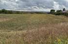 Vand teren Intravilan 1400 MP in Parcul National Comana - Vlad Tepes - Giurgiu - 9