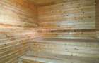 Copou, proprietate spatioasa de inchiriat, D+P+E, SAUNA - 6