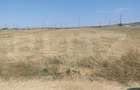 Teren intravilan, Simnicu de Sus, 5300 mp, deschidere 16,4 m - 4