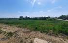 Teren intravilan la intrare în Vetiș – 12.216 mp - 5