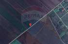 Teren 30.000 MP | Hălchiu |  Jud. Brasov - 4