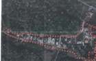 Teren intravilan 1610 mp în Făget – Strada Antonin Ciolan, lângă pădure - 2
