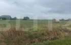 Teren extravilan de vanzare, 20000 mp, zona Hiliseu-Horia