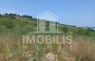 Teren de vanzare | 8800 mp | Viile Dealul Mic - 2