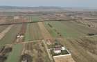 RECO Teren intravilan  Osorhei - 1