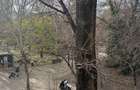 Vila Ion Voicu de vanzare - partial - etaj 1 si mansarda - Parcul Ioanid - 5