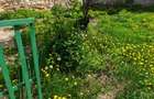 Casa 4 camere libera la vanzare RASNOV - zona Florilor - 18