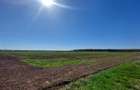Teren pentru dezvoltare rezidentiala langa padure, in Pischia - 3