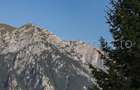 Teren Busteni, Piatra Arsa, de Vanzare. Vedere Superba Spre Muntii Bucegi. - 3