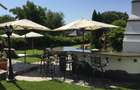 Vilă de Lux pe Malul Lacului Snagov – Ponton, Cramă, Garaj Barcă – Teren 1800mp - 1