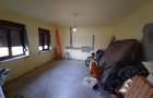 Sanmihaiu Roman 2 case vechi 110000 euro - 5