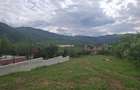 Teren intravilan-constructii în Cisnădioara - Apfel House – 940 mp - 5