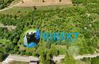 Teren de vânzare intravilan 2200 m2,  Dumitrita - 9
