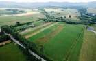 Teren 10,000mp Nemtisor / DJ 155C - 4