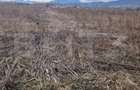Teren de vanzare 1500 mp - intravilan Codlea - 30 euro mp - 7