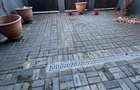 Apartament 2 camere în zona STRAZII ROMUL LADEA - 9