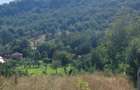 De vanzare: Teren 1000 mp intravilan in Bunesti -  Malureni, Arges  - 2
