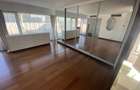 Penthouse, 5 camere, piscina proprie, zona  Kiseleff - Arcul de Triumf. - 18