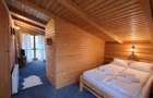 Resedinte montane,mobilate,echipate, jacuzzi,piscina,pretios areal,Sambata de Su - 7