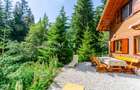Casa 3 camere, 840 mp teren care include padure, Paltinis - 1