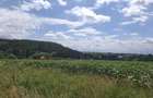 Se vinde teren de 5000mp, intr o zona foarte liniștită aproape de pădure - 2