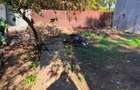 Vila de inchiriat in zona Bucurestii Noi - langa Parc Bazilescu - 6