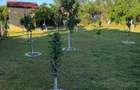 | Casa tip Vila 105 mpu Prunaru-Bujoreni Tr- curte proprie 500 mp | - 25