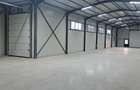Hala noua 440m² utili Remuș Giurgiu - 7