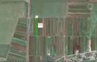 Exclusiv ! TUZLA - teren 10.000 mp cu deschidere 37 mp (Cod E8) - 1