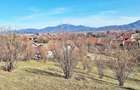 Comision 0%! Teren superb de 17000mp la 5 min de Castelul Bran, 13 eur - 14