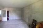Casa Moreni 270 mp jud. Neamt - 10