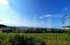 Teren cu panorama deosebita, suprafata de 3300mp, zona Wonderland