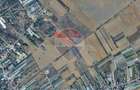 Teren Intravilan de vanzare 4000 mp Copaceni Strada Constantin Duma - 1