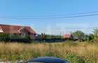 Teren intravilan si extravilan, 9500 mp, cu dublă deschidere – Ana Ipatescu - 4