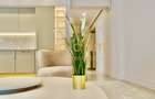COMISION 0/LUX/APARTAMENT SPECTACULOS/MOBILAT UTILAT - 3