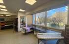 Spatiu comercial de inchiriat,  Pache Protopopescu - 5