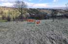 Teren 1654 mp zona Cetate Schit - 6